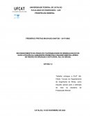 RECONHECIMENTO DE ZONAS DE FAVORABILIDADE DE MINERALIZAÇÃO DE OURO ATRAVÉS DA GAMAESPECTROMETRIA E MAGNETOMETRIA AÉREO NA REGIÃO DE BRUSQUE E BOTUVERÁ, SUL DO BRASIL