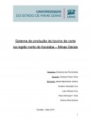 Sistema de Produção de Bovino de Corte na Região Norte de Ituiutaba