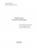 Resenha do texto: “Os desafios da alfabetização”