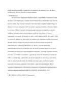 AS PRINCIPAIS ZOONOSES OCORRENTES NA REGIÃO METROPOLITANA DE BELO HORIZONTE - MINAS GERAIS: revisão de literatura