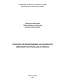 A PRODUÇÃO DO MICRORGANISMO SACCHAROMYCES CEREVISIAE PARA PRODUÇÃO DE CERVEJA