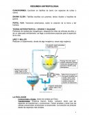 A TEORIA HETEROTROFICA OPARIN Y HALDANE