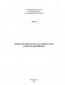 O Desenvolvimento de Uma Turbina Para Geração Distribuída