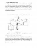 Procedimento Prático Laboratório de Perda de Carga