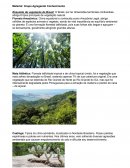 Resumo de Vegetação do Brasil