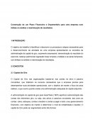 A Construção de um Plano Financeiro e Orçamentário para uma empresa com ênfase na análise e maximização de resultados