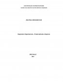 O Diagnóstico Organizacional Projeto Aplicado a Negócios