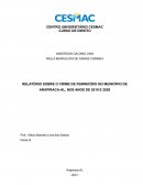 RELATÓRIO SOBRE O CRIME DE FEMINICÍDIO NO MUNICÍPIO DE ARAPIRACA-AL, NOS ANOS DE 2019 E 2020