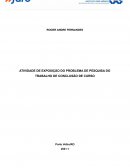 A ATIVIDADE DE EXPOSIÇÃO DO PROBLEMA DE PESQUISA DO TRABALHO DE CONCLUSÃO DE CURSO