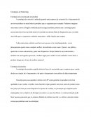 Os Estratégias de Marketing