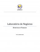 Laboratório de Negócios