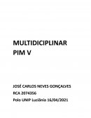 MULTIDISCIPLINAR PIM V