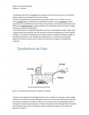 Resumo Capítulo De Engenharia