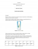 Relatório Departamento de Física e Química