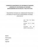 O DIAGNÓSTICO RADIOGRÁFICO DE VERTEBRA DE TRANSIÇÃO