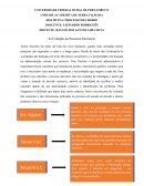 A Evolução do Processo Decisório