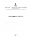 O Cooperativismo Agropecuário e Suas Características