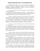A RELAÇÃO RESOLUÇÃO 359/91 E ATIVIDADES DO ENGENHEIRO DE SEGURANÇA DO TRABALHO