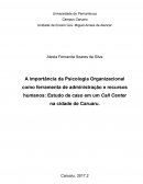 A Importância da Psicologia Organizacional Como Ferramenta de administração e recursos humanos: Estudo de caso em um Call Center na cidade de Caruaru.