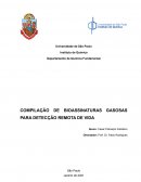 Compilação de Bioassinaturas Gasosas para Detecção Remota de Vida