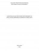 A IMPORTÂNCIA DA AUDITORIA INTERNA COMO FERRAMENTA DE APOIO À GESTÃO EMPRESARIAL EM EMPRESA DE GRANDE PORTE