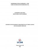 CONCRETO AUTOCICATRIZANTE COM ESCÓRIA DE ALTO FORNO E ADITIVO POR CATALISADOR CRISTALINO