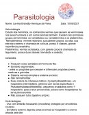 Parasito Helmintologia Na Odontologia