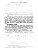 ESTUDO DE CASO UMA FIRMA AFUNDADA / REVISÃO TEORIA COMPORTAMENTAL