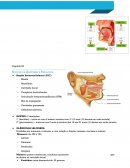 As Noções de Anatomia e Fisiologia