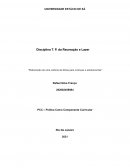 Elaboração de Uma Colônia de Férias Para Crianças e Adolescentes