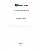OS PRINCIPIOS E METODOS DA HERMENEUTICA CONSTITUCIONAL