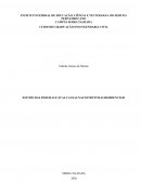 O ESTUDO DAS FISSURAS E SUAS CAUSAS NAS ESTRUTURAS RESIDENCIAIS