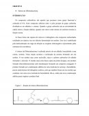 A Condensação Alcóolica