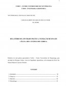 RELATÓRIO DE ATIVIDADE PRÁTICA: EXTRAÇÃO DE DNA DE CÉLULA DO CATÁFILO DE CEBOLA