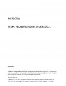 O RELATÓRIO SOBRE O MERCOSUL