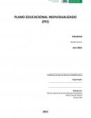 PLANO EDUCACIONAL INDIVIDUALIZADO