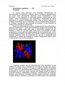 A Bioquímica Aminoácidos e Peptídeos