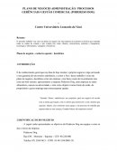 O PLANO DE NEGÓCIO ADMINISTRAÇÃO / PROCESSOS GERÊNCIAIS/ GESTÃO COMERCIAL (PODERESO DOG)