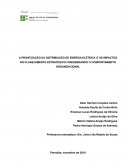 A PRIVATIZAÇÃO DA DISTRIBUIÇÃO DE ENERGIA ELÉTRICA E OS IMPACTOS NO PLANEJAMENTO ESTRATÉGICO CONSIDERANDO O COMPORTAMENTO ORGANIZACIONAL