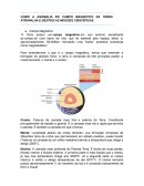 COMO A ANOMALIA NO CAMPO MAGNETICO DA TERRA ATRAPALHA E DESTROI AS MISSÕES CIENTEFICAS