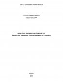 Relatório - Tratamentos Térmicos Estruturas e Propriedades dos Materiais -
