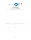 O Trabalho na Periferia do Capitalismo: Perspectivas Interdisciplinares