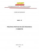 OS PROJETOS E PRÁTICAS DE AÇÃO PEDAGÓGICA