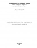 O Como o Controller e a Controladoria estão inseridos no ambiente empresarial globalizado