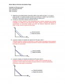 Trabalho sobre Teoria do Consumidor