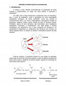 A SÍNTESE E PURIFICAÇÃO DA ACETANILI|DA