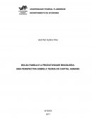 BOLSA FAMÍLIA E A PRODUTIVIDADE BRASILEIRA: UMA PERSPECTIVA SOBRE A TEORIA DO CAPITAL HUMANO