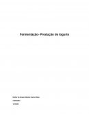 Estagiário Fermentação- Produção de Iogurte