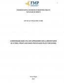 A RESPONSABILIDADE CIVIL DOS CLUBES/ESTÁDIOS DE FUTEBOL FRENTE AOS DANOS CAUSADOS PELOS TORCEDORES