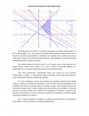 Exercício Demonstrativo de PPL de Minimização